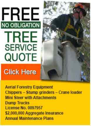 Free Quote